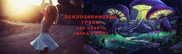 дмт Киреевск