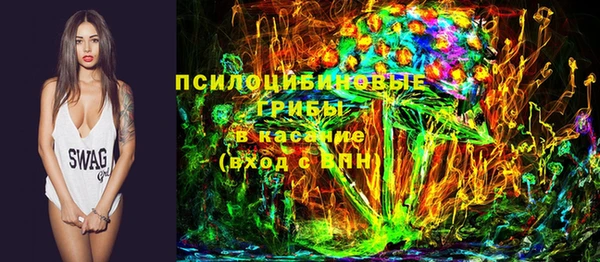 дмт Киреевск