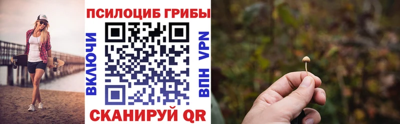 Галлюциногенные грибы Psilocybine cubensis  Купить  Белый 
